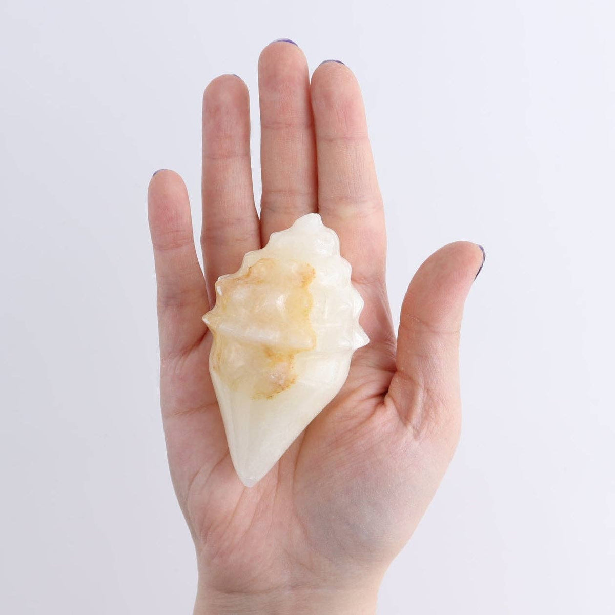 Mexican Onyx/Calcite Crystal Gemstone Shell