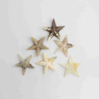 Onyx Crystal Gemstone Starfish