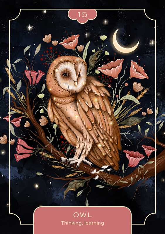 Animal Spirit Oracle Card Deck