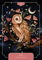 Animal Spirit Oracle Card Deck