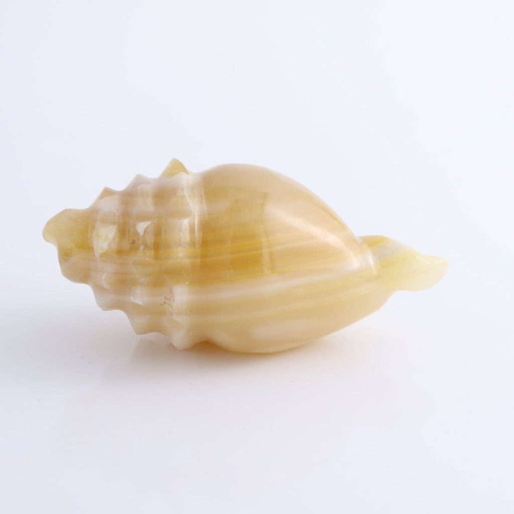Mexican Onyx/Calcite Crystal Gemstone Shell