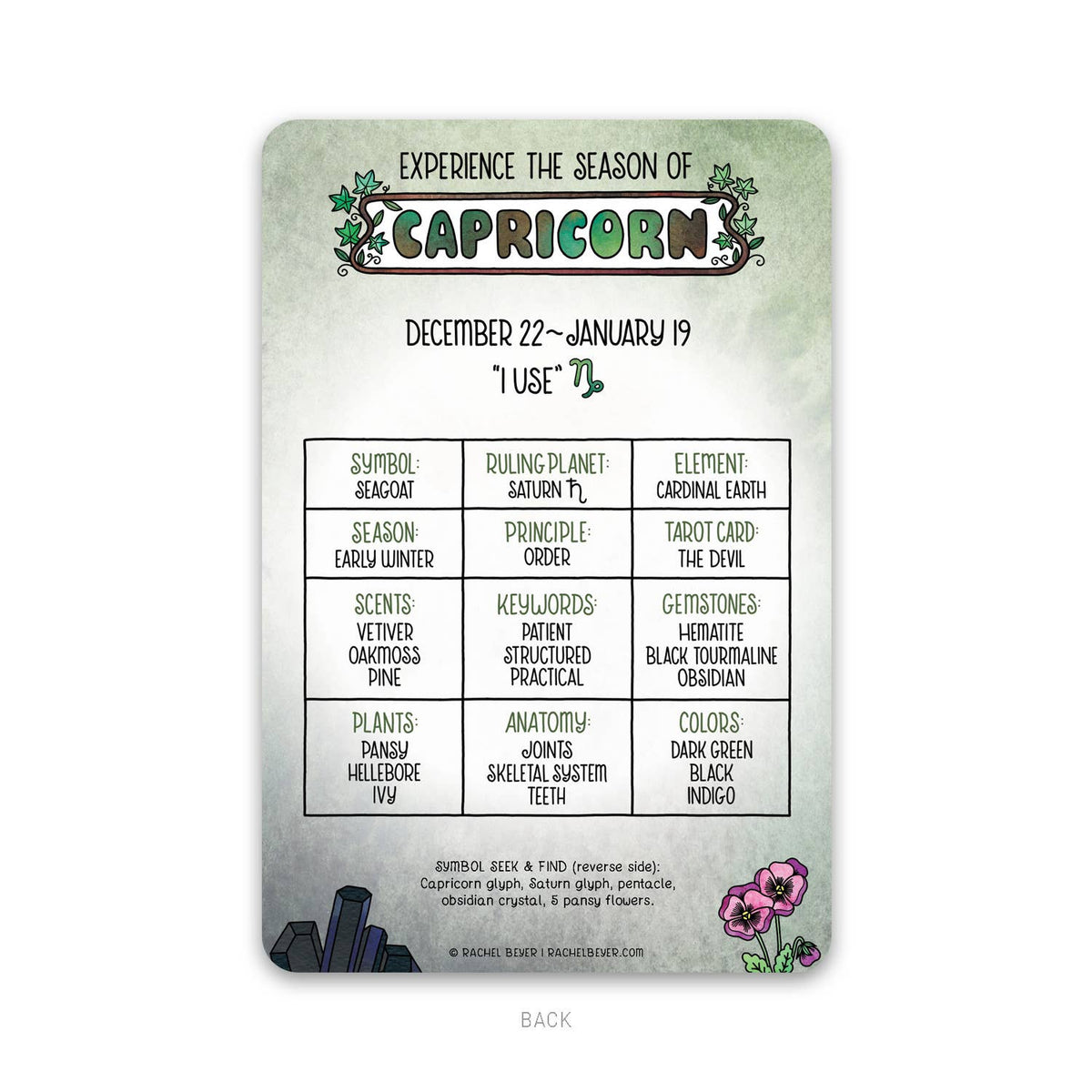 Capricorn Zodiac Mini Art Print