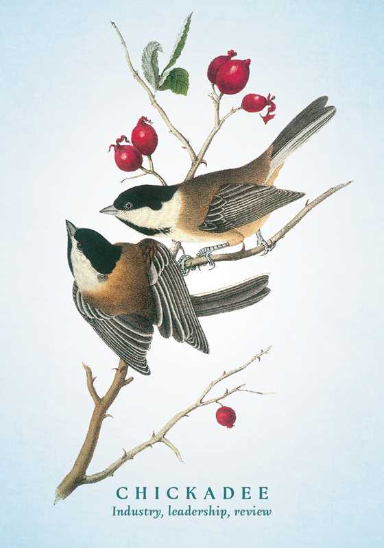 Spiritual Meaning of Birds Oracle Card Deck