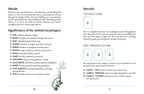Enchanted Earth Oracle Card Deck