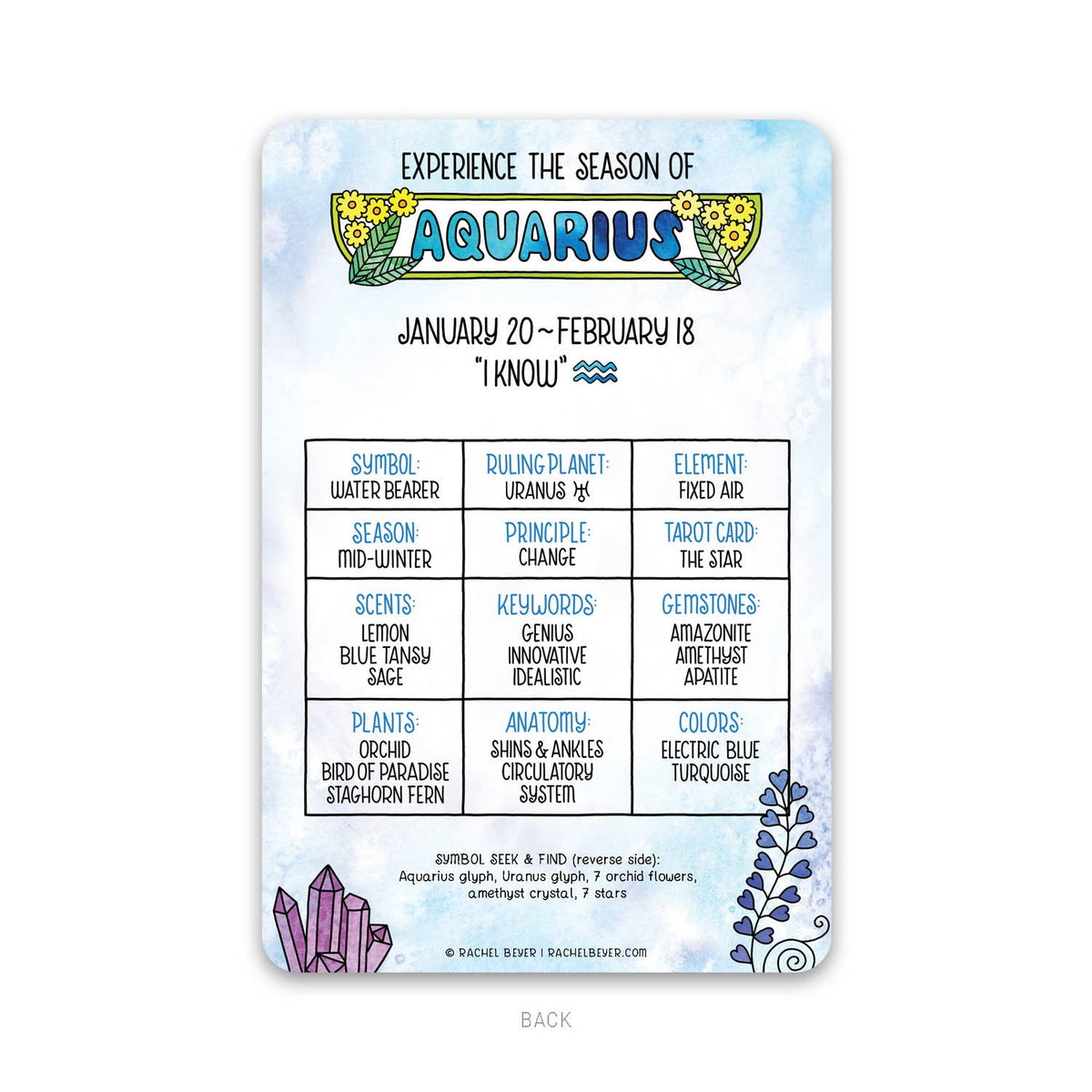 Aquarius Zodiac Mini Art Print