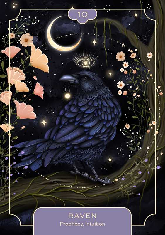 Animal Spirit Oracle Card Deck