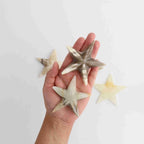 Onyx Crystal Gemstone Starfish