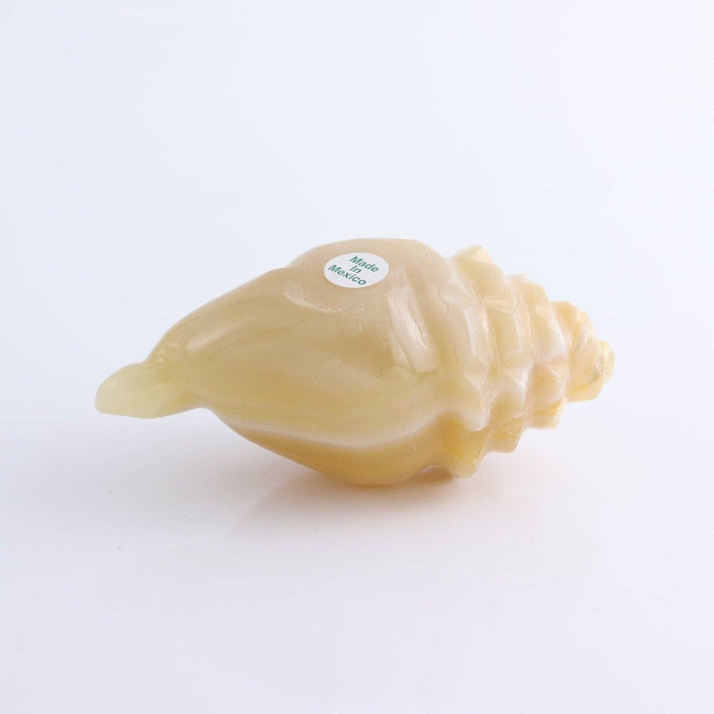 Mexican Onyx/Calcite Crystal Gemstone Shell