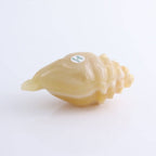 Mexican Onyx/Calcite Crystal Gemstone Shell