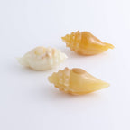 Mexican Onyx/Calcite Crystal Gemstone Shell