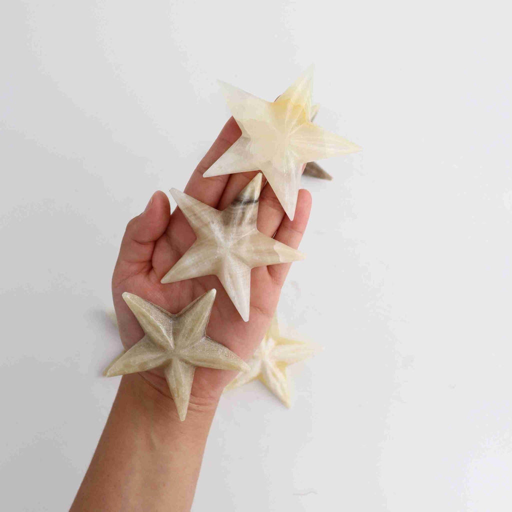 Onyx Crystal Gemstone Starfish