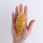 Mexican Onyx/Calcite Crystal Gemstone Shell