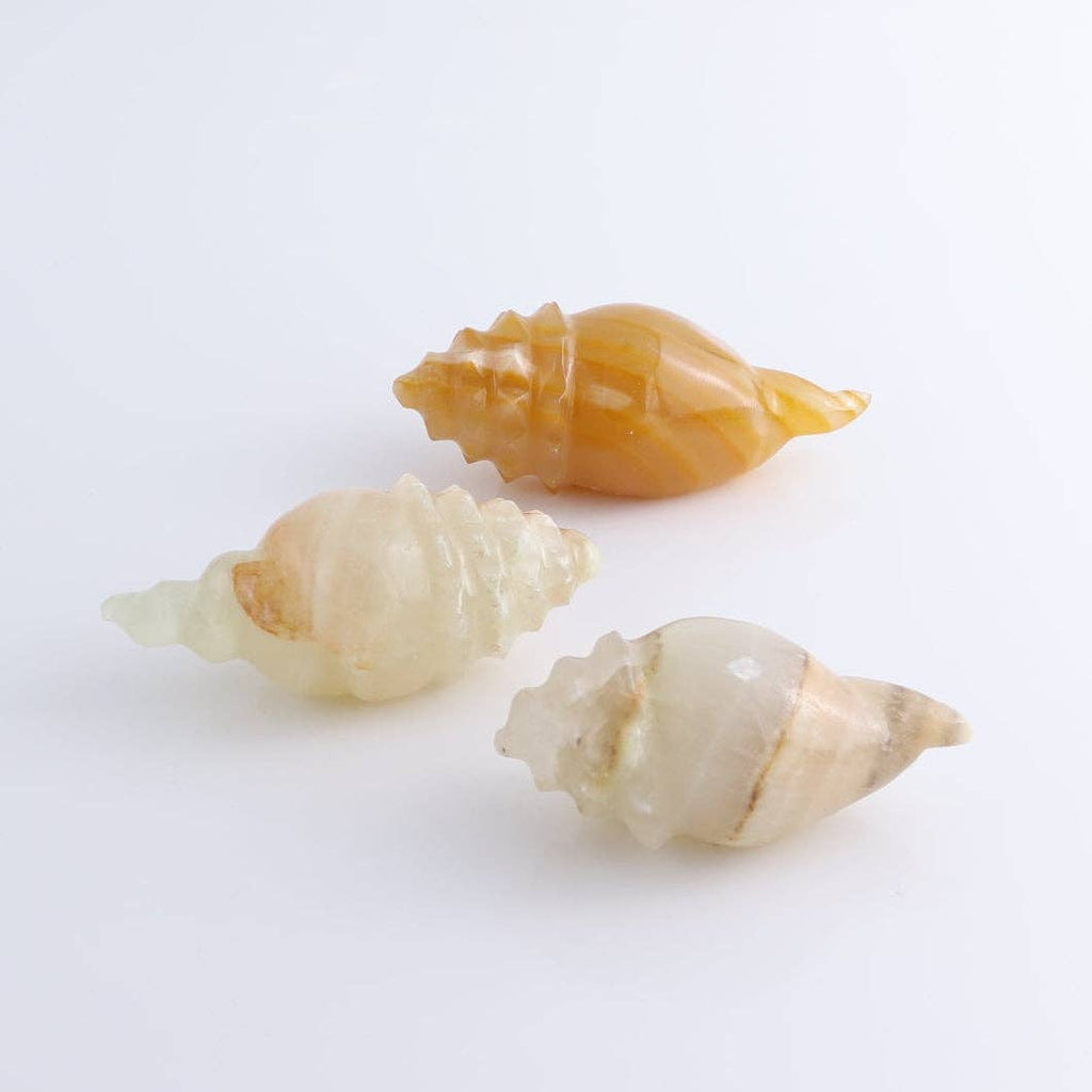 Mexican Onyx/Calcite Crystal Gemstone Shell