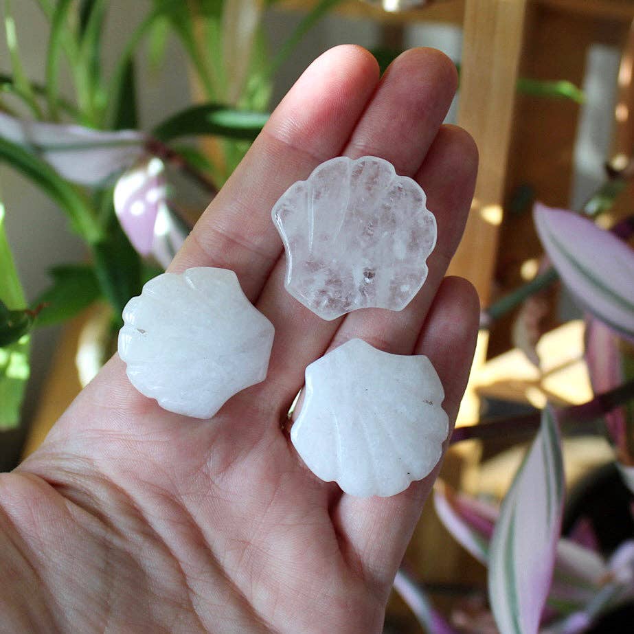 Quartz Crystal Gemstone Seashell Carving