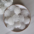 Quartz Crystal Gemstone Seashell Carving