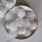 Quartz Crystal Gemstone Seashell Carving