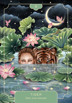 Animal Spirit Oracle Card Deck