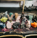 Witch's Familiar Blind Box Mini Crystal Carving - Which One Will Choose You?