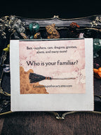 Witch's Familiar Blind Box Mini Crystal Carving - Which One Will Choose You?