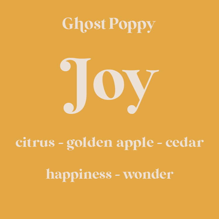 Joy Room Spray