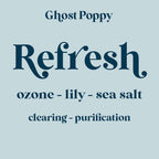 Refresh Wax Melt