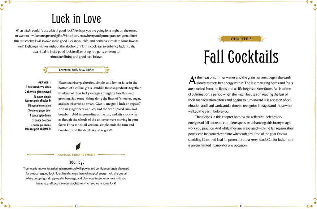 Witchcraft Cocktails Recipe Book By Julia Halina Hadas