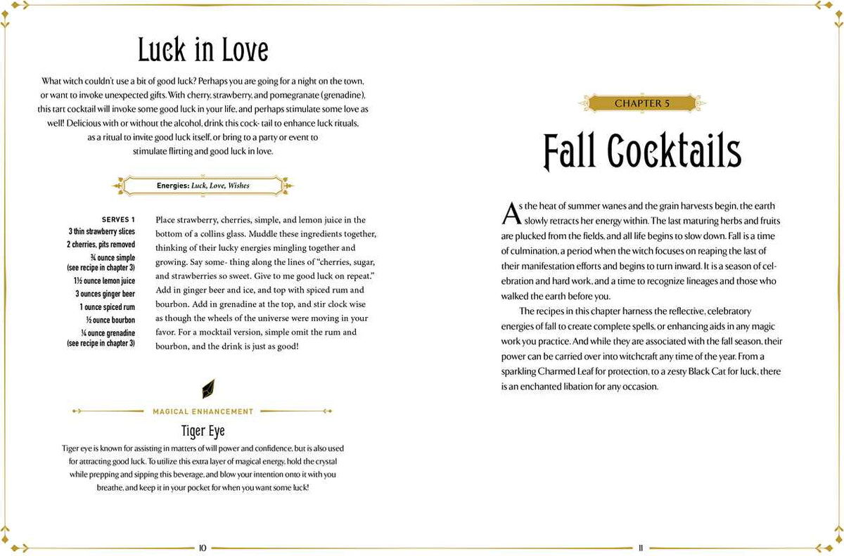 Witchcraft Cocktails Recipe Book By Julia Halina Hadas