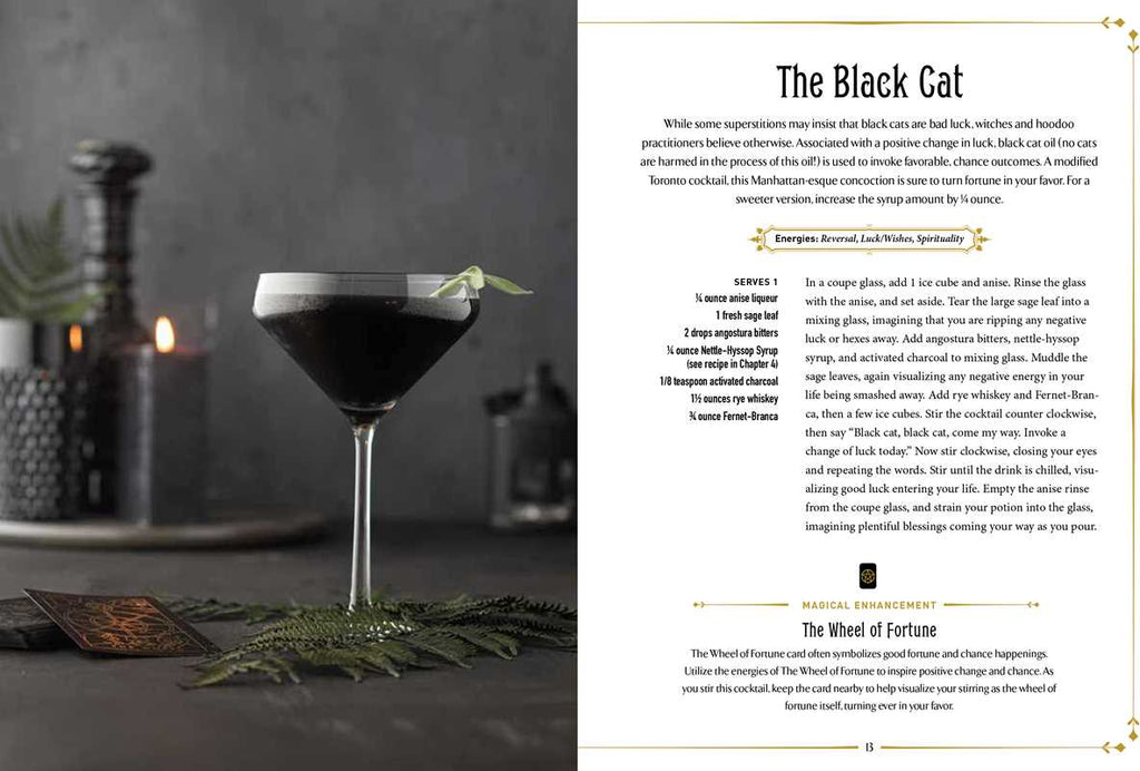 Witchcraft Cocktails Recipe Book By Julia Halina Hadas