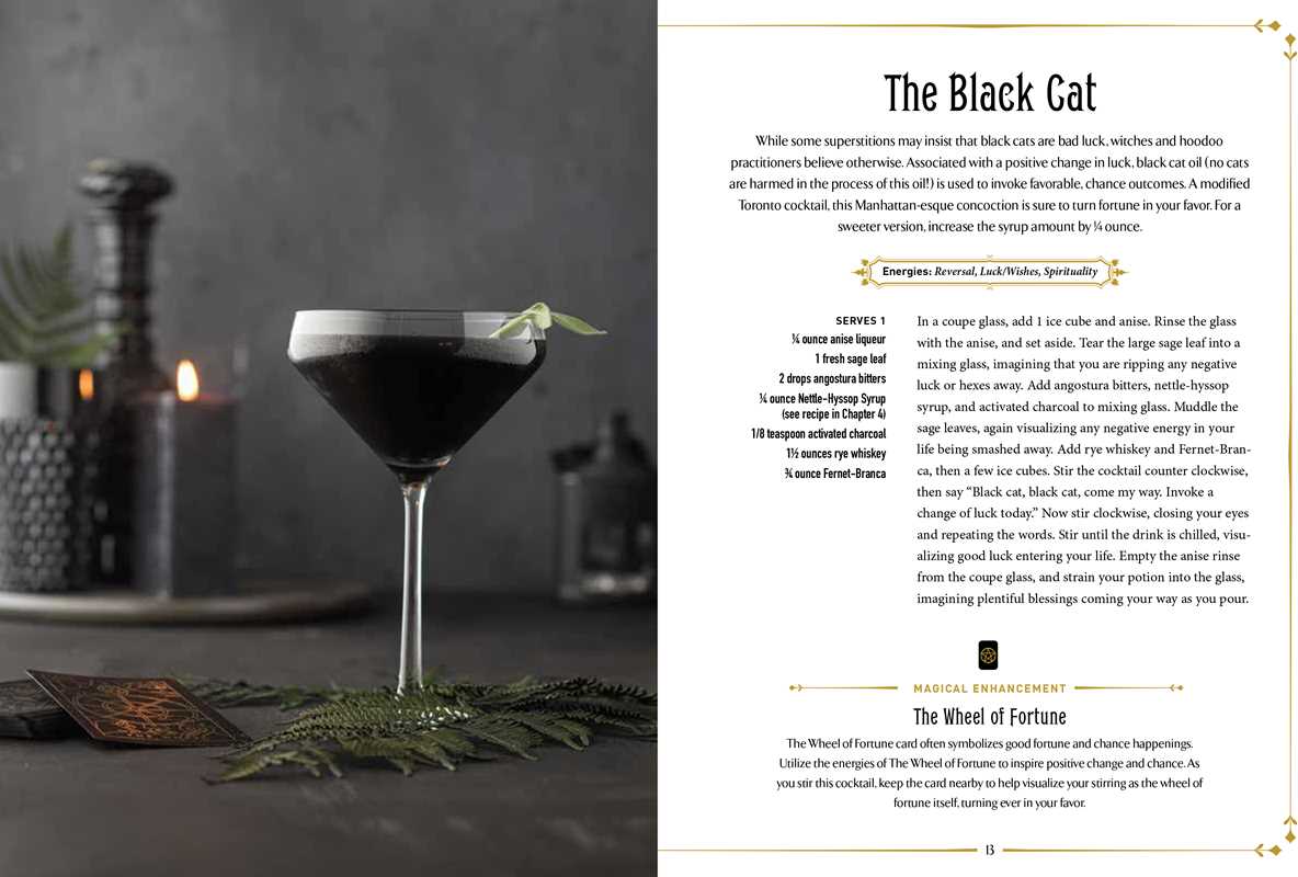 Witchcraft Cocktails Recipe Book By Julia Halina Hadas