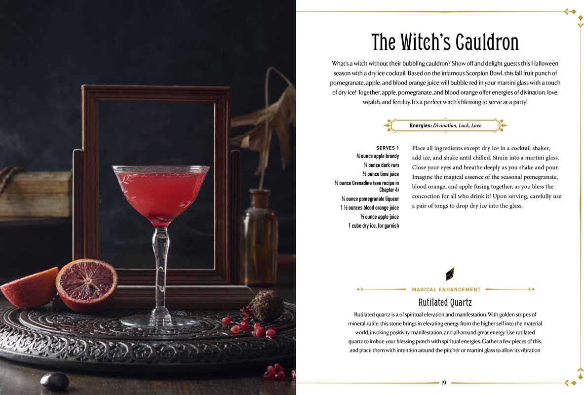 Witchcraft Cocktails Recipe Book By Julia Halina Hadas
