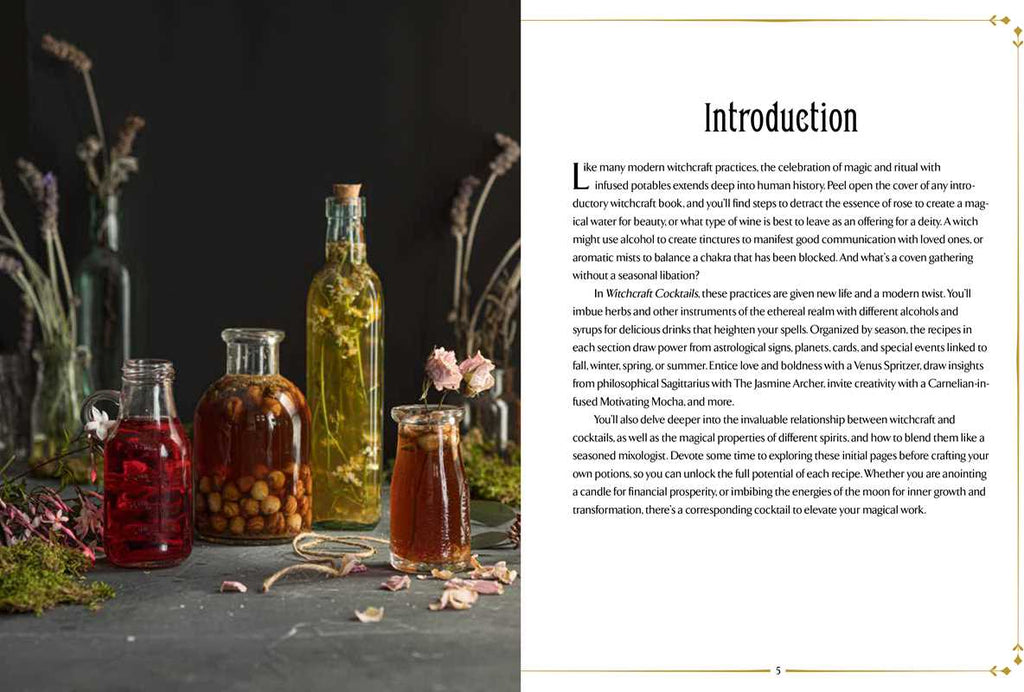 Witchcraft Cocktails Recipe Book By Julia Halina Hadas