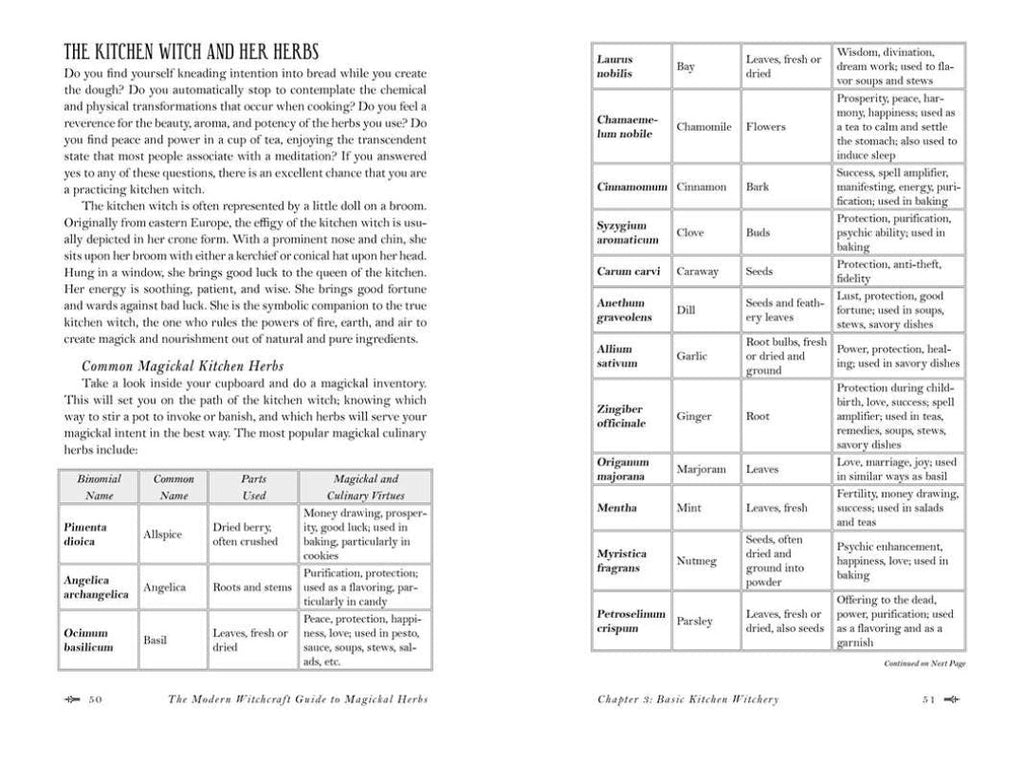 Modern Witchcraft Guide To Magickal Herbs Book By Judy Ann Nock