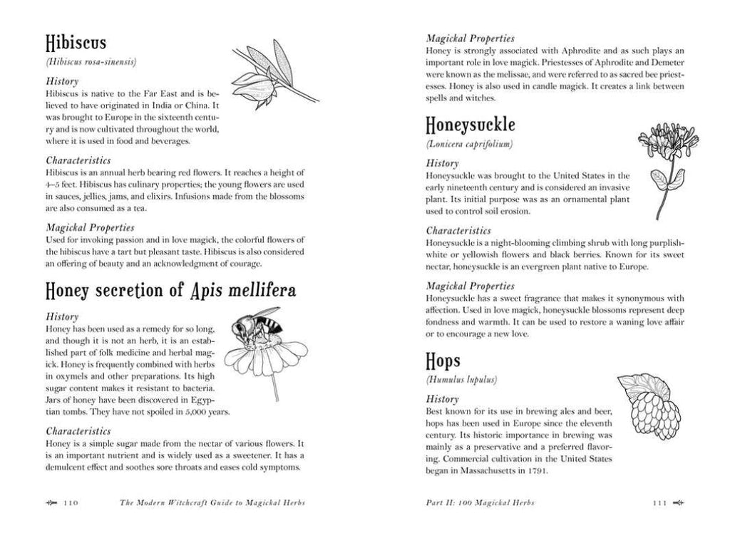 Modern Witchcraft Guide To Magickal Herbs Book By Judy Ann Nock