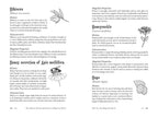Modern Witchcraft Guide To Magickal Herbs Book By Judy Ann Nock